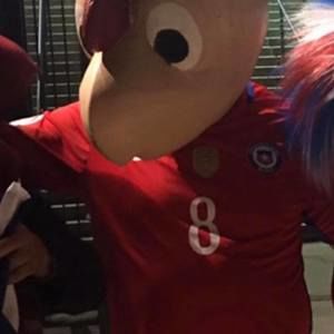 Meet your Posher, Marisol